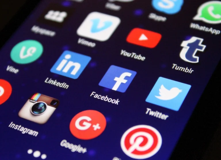 Freelance Digital Marketer In Kochi, Social media platforms for businesses working with the best digital marketing strategist in Kerala